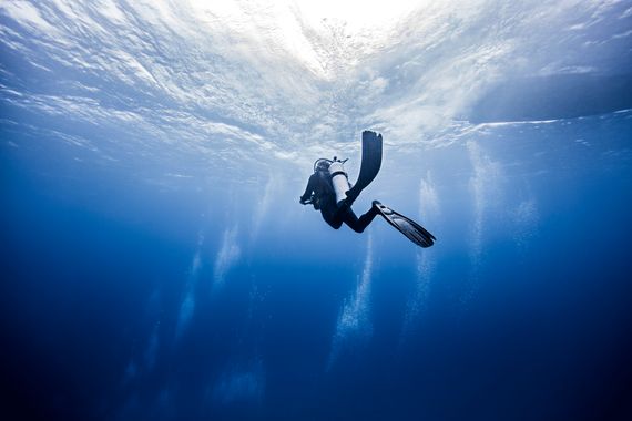 scuba diver in cancun mexico 2026 03 25 05 29 58 utc